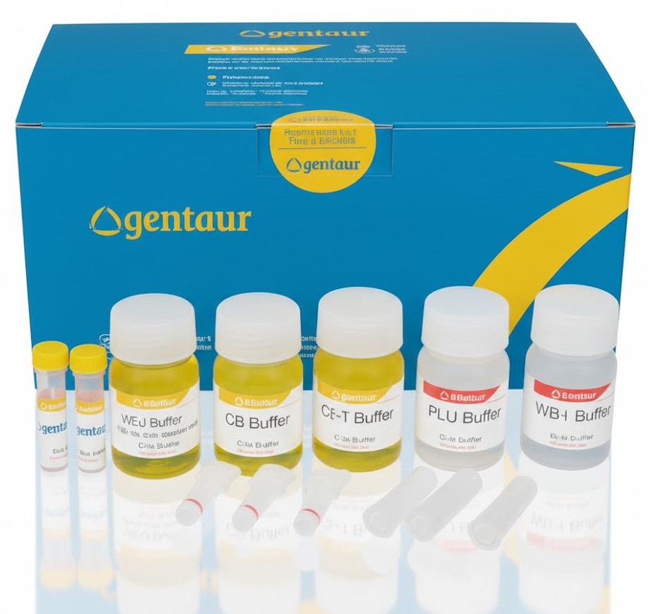 Hot-Start DNA Polymerase